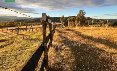 PARCELA 14000 MTS 2 SECTOR RIO BLANCO FRESIA