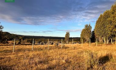 PARCELA 14000 MTS 2 SECTOR RIO BLANCO FRESIA