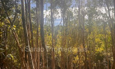 PARCELA 14000 MTS 2 SECTOR RIO BLANCO FRESIA