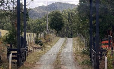 PARCELA 14000 MTS 2 SECTOR RIO BLANCO FRESIA