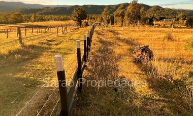 PARCELA 14000 MTS 2 SECTOR RIO BLANCO FRESIA