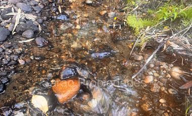 PARCELA 14000 MTS 2 SECTOR RIO BLANCO FRESIA