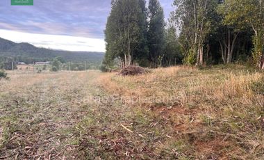 PARCELA 14000 MTS 2 SECTOR RIO BLANCO FRESIA