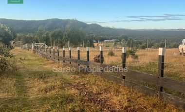 PARCELA 14000 MTS 2 SECTOR RIO BLANCO FRESIA