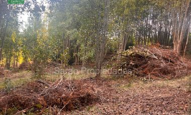 PARCELA 14000 MTS 2 SECTOR RIO BLANCO FRESIA