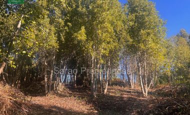 PARCELA 14000 MTS 2 SECTOR RIO BLANCO FRESIA