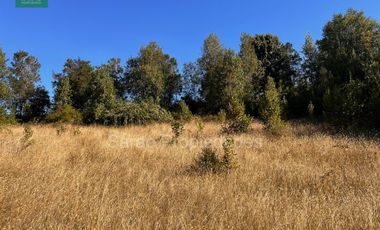PARCELA 14000 MTS 2 SECTOR RIO BLANCO FRESIA