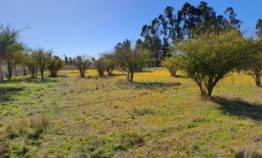 AMPLIO TERRENO RURAL CON GRAN POTENCIAL