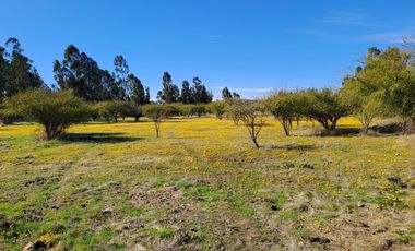 AMPLIO TERRENO RURAL CON GRAN POTENCIAL