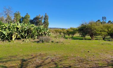 AMPLIO TERRENO RURAL CON GRAN POTENCIAL