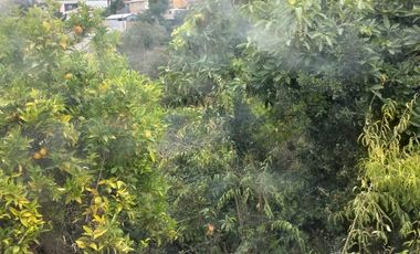 ARRIENDO CASA PASAJE DEL AGUA FORESTAL
