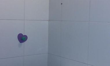 Venta con renta Local - Centro San Fernando