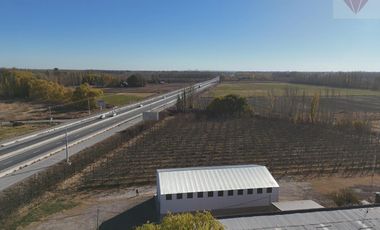 Galpón en alquiler sobre ruta 22