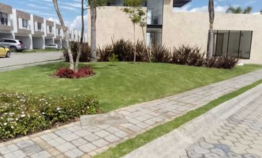 CASA EN RENTA EN LOMAS III