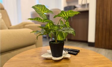 Se arrienda apartamento en Centro Histórico Santa Marta