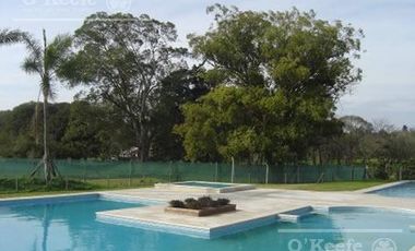 Casa en venta de cinco ambientes apto crédito en lote central