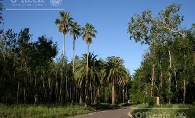 Casa en venta de cinco ambientes apto crédito en lote central