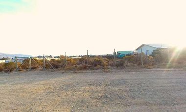 PARCELA DE AGRADO  PICHIDANGUI LOS VILOS  5000 M ROL PROPIO