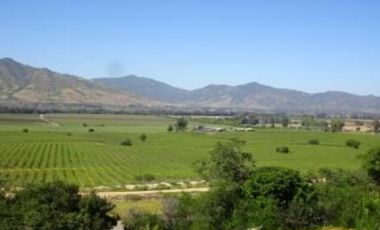 Agrícola en Venta en Camino La Vega-Rincón de Ubilla