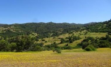 Agrícola en Venta en Camino La Vega-Rincón de Ubilla