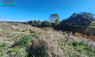 Sitio Eriazo de 3.556 m² en Sector Los Molineros