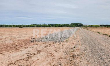 Alquiler Lote de 5000 m2