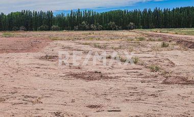 Alquiler Lote de 5000 m2
