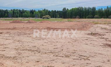 Alquiler Lote de 5000 m2