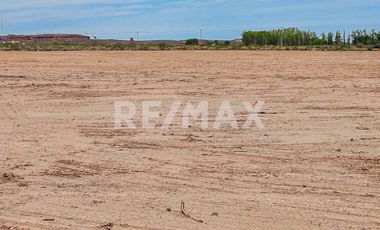 Alquiler Lote de 5000 m2