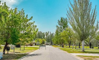 VENTA CASA B* LOS OLIVOS 4 DORMITORIOS CENTENARIO