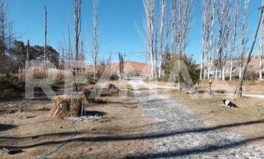 ALQUILER DE HECTÁREA - VISTA ALEGRE