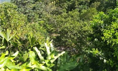 MAAT vende Finca, Villeta-La Masata 13.200m2 $850Millones