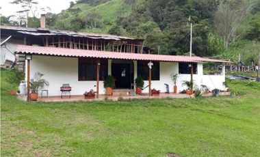 MAAT vende Finca,  EL Hatillo-Guaduas 41 Hectaras $2.100 Millones