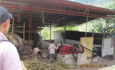 MAAT vende Finca,  EL Hatillo-Guaduas 41 Hectaras $2.100 Millones