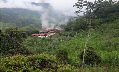 MAAT vende Finca,  EL Hatillo-Guaduas 41 Hectaras $2.100 Millones