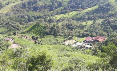 MAAT vende Finca,  EL Hatillo-Guaduas 41 Hectaras $2.100 Millones