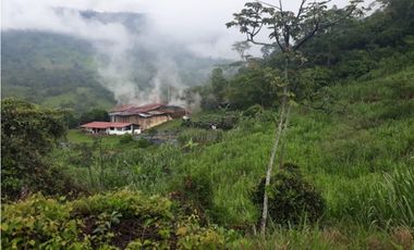 MAAT vende Finca,  EL Hatillo-Guaduas 41 Hectaras $2.100 Millones