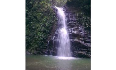 MAAT vende Finca,  EL Hatillo-Guaduas 41 Hectaras $2.100 Millones