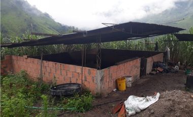 MAAT vende Finca,  EL Hatillo-Guaduas 41 Hectaras $2.100 Millones