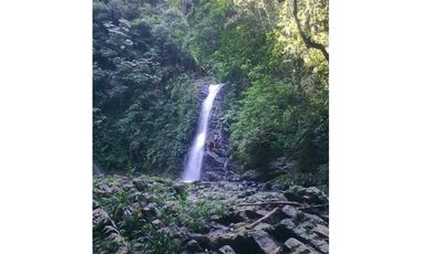 MAAT vende Finca,  EL Hatillo-Guaduas 41 Hectaras $2.100 Millones