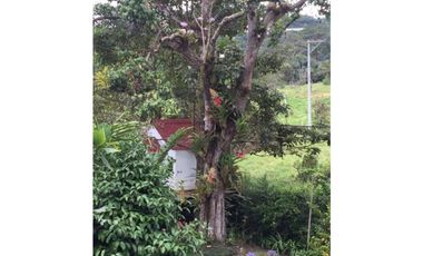 MAAT vende Finca La Vega.
