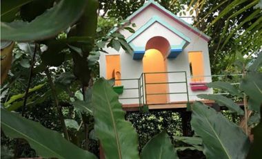 MAAT vende Finca La Vega.