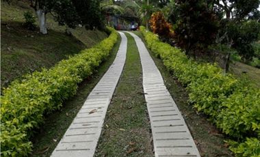 MAAT vende Finca en  La Vega.