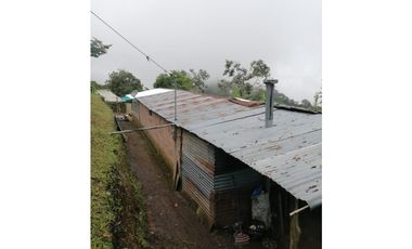 MAAT Vende finca en vereda San Isidro-Villeta 29.460m2 $250Millones