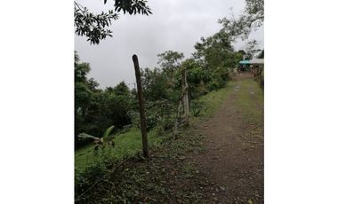 MAAT Vende finca en vereda San Isidro-Villeta 29.460m2 $250Millones