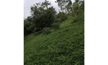 MAAT Vende finca en vereda San Isidro-Villeta 29.460m2 $250Millones