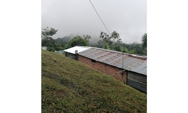MAAT Vende finca en vereda San Isidro-Villeta 29.460m2 $250Millones