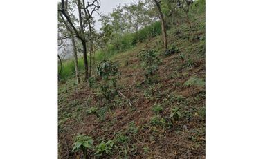 MAAT Vende finca en vereda San Isidro-Villeta 29.460m2 $250Millones
