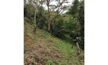 MAAT Vende finca en vereda San Isidro-Villeta 29.460m2 $250Millones
