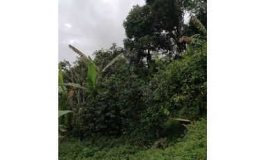MAAT Vende finca en vereda San Isidro-Villeta 29.460m2 $250Millones